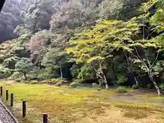 南禅院(京都府)