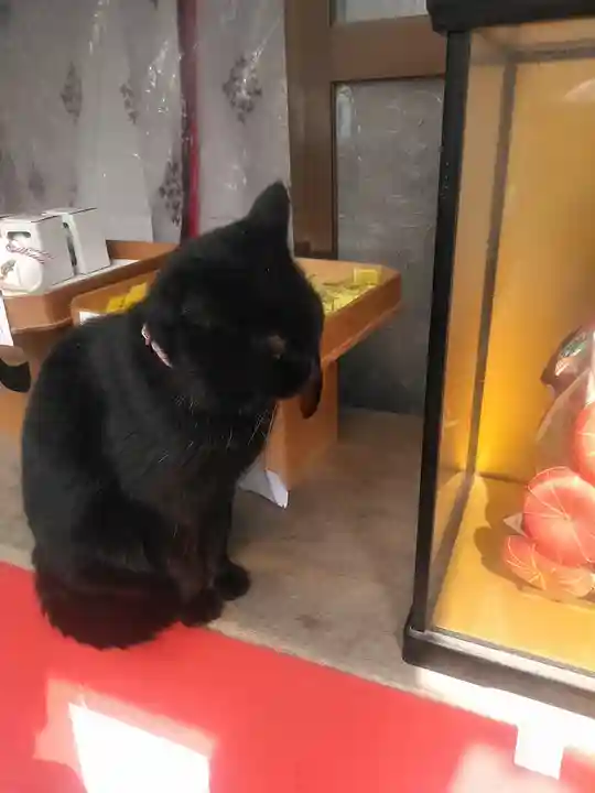 宇部護国神社の動物