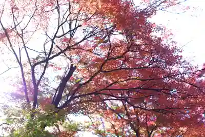 禅林寺(永観堂)(京都府)