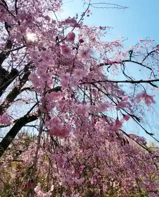 龍安寺(京都府)