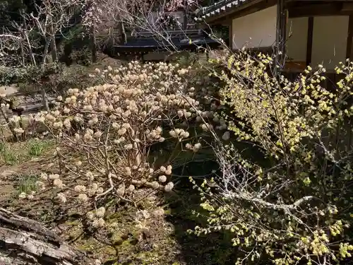 浄智寺(神奈川県)