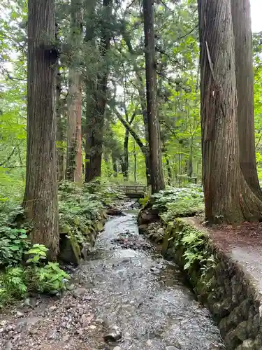 戸隠神社奥社の周辺