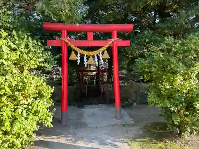 糟目犬頭神社の鳥居
