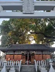 阿保神社(大阪府)(2024年10月02日(水) 12時02分02秒投稿)