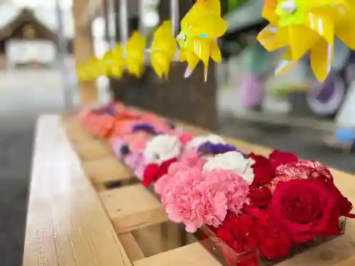 札幌諏訪神社の芸術