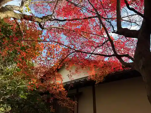 霊鑑寺門跡(京都府)