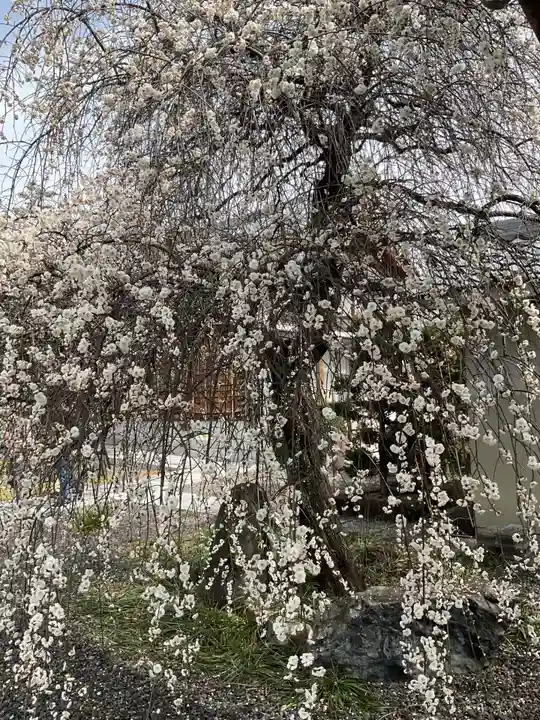 慈眼寺(愛知県)