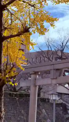 福井神社(福井県)