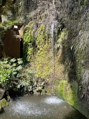 銭洗弁財天宇賀福神社(神奈川県)