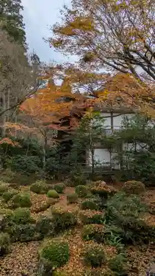 三千院門跡(京都府)