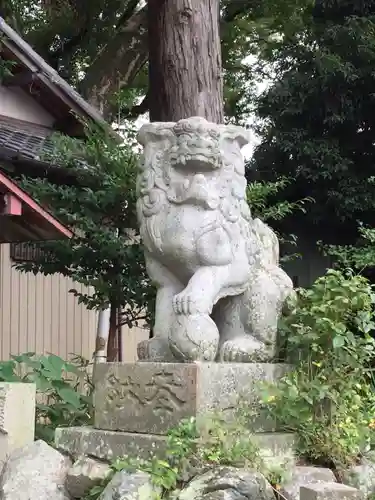 神戸神社の狛犬