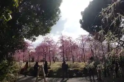 城南宮のその他建物