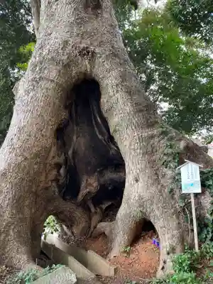 五所八幡宮(福岡県)