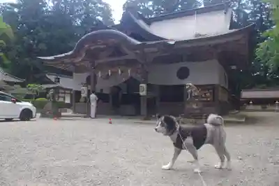 伊和神社の本殿・本堂