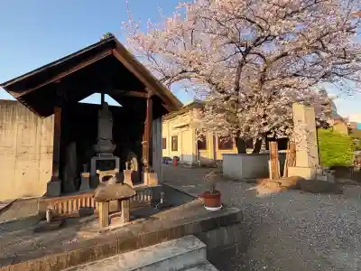 浄心寺の地蔵