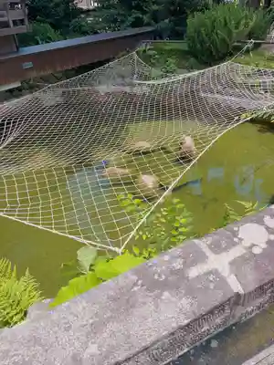 神炊館神社 ⁂奥州須賀川総鎮守⁂(福島県)