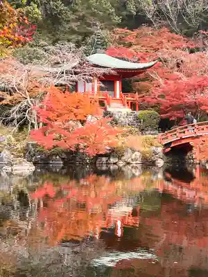 醍醐寺(京都府)