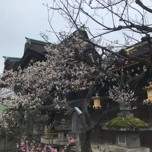 北野天満宮の自然