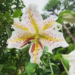 豊景神社の自然