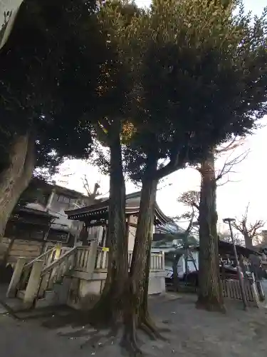 鎧神社の自然