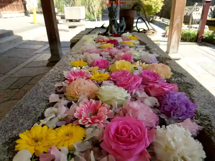 頂法寺(六角堂)(京都府)