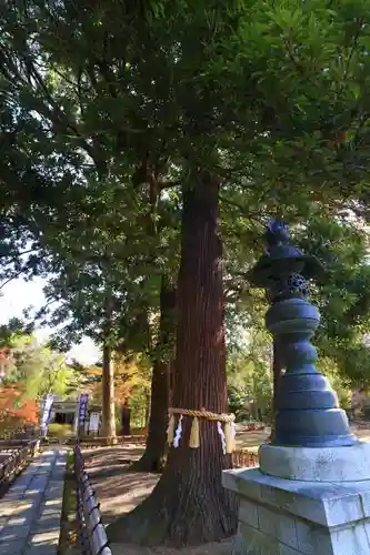 青葉神社の自然