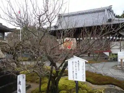 岩津天満宮(愛知県)