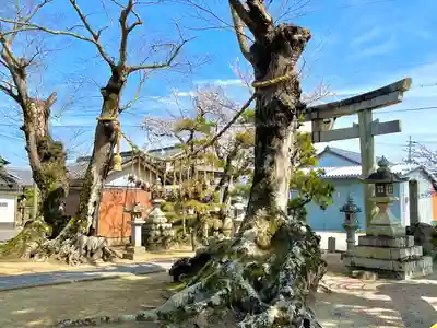 山部神社(滋賀県)