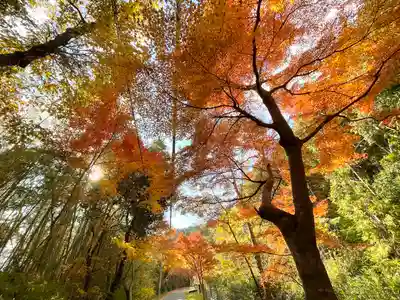 乾徳寺(滋賀県)