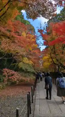 光明寺（粟生光明寺）(京都府)