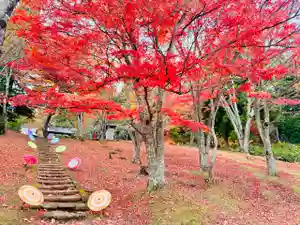 土津神社|こどもと出世の神さま(福島県)(2025年11月13日(木) 20時40分25秒投稿)