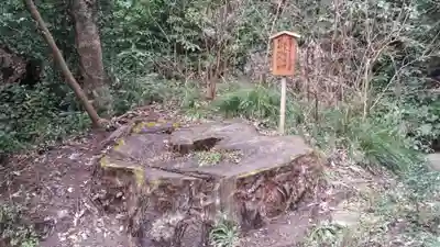鹿島神宮(茨城県)
