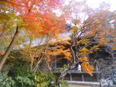 妙本寺のその他建物