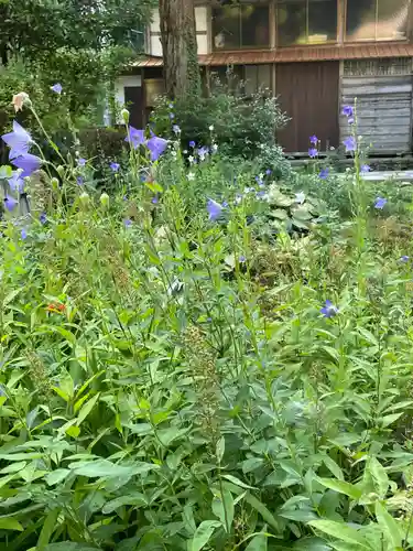国上寺(新潟県)