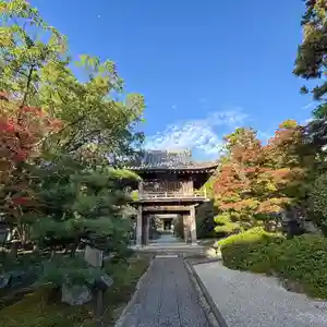 伊勢の国 四天王寺(三重県)(2025年11月15日(土) 07時51分34秒投稿)