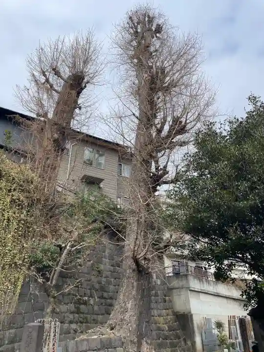 妙行寺の{uncategorized: "未分類", other: "その他", undefined: "問題あり", building: "その他建物", grave: "お墓", sacred_gate: "鳥居", guardian: "狛犬", statue: "像", buddha: "仏像", history: "歴史", nature: "自然", garden: "庭園", animal: "動物", pagoda: "塔", temizu: "手水舎", mountain_gate: "山門・神門", sanctuary: "本殿・本堂", subordinate: "末社・摂社", art: "芸術", scenery: "景色", jizo: "地蔵", ema: "絵馬", goshuin: "御朱印", omikuji: "おみくじ", items: "授与品その他", amulet: "お守り", goshuincho: "御朱印帳", eats: "食事", festival: "お祭り", votive_dance: "神楽", shichigosan: "七五三参", wedding: "結婚式", experience: "体験その他", initially: "初詣", around: "周辺", anti_infection: "感染症対策"}