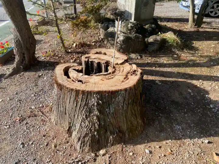北野天神社の自然