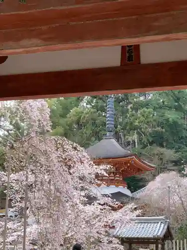 金剛寺のその他建物