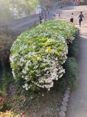 塩船観音寺(東京都)