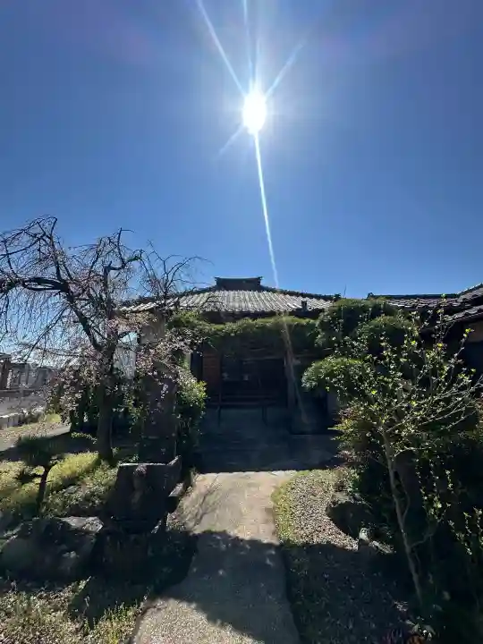 正讃寺の{uncategorized: "未分類", other: "その他", undefined: "問題あり", building: "その他建物", grave: "お墓", sacred_gate: "鳥居", guardian: "狛犬", statue: "像", buddha: "仏像", history: "歴史", nature: "自然", garden: "庭園", animal: "動物", pagoda: "塔", temizu: "手水舎", mountain_gate: "山門・神門", sanctuary: "本殿・本堂", subordinate: "末社・摂社", art: "芸術", scenery: "景色", jizo: "地蔵", ema: "絵馬", goshuin: "御朱印", omikuji: "おみくじ", items: "授与品その他", amulet: "お守り", goshuincho: "御朱印帳", eats: "食事", festival: "お祭り", votive_dance: "神楽", shichigosan: "七五三参", wedding: "結婚式", experience: "体験その他", initially: "初詣", around: "周辺", anti_infection: "感染症対策"}