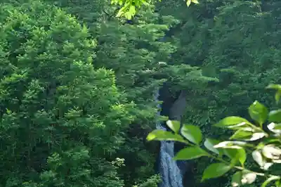 竹之高地不動社(新潟県)