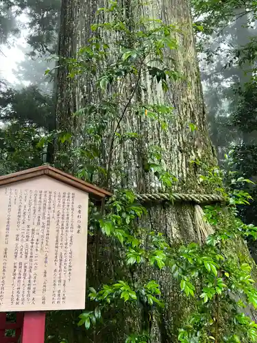 箱根神社(神奈川県)