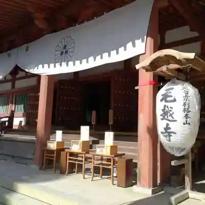 毛越寺の本殿・本堂