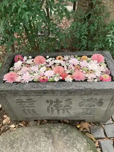 行田八幡神社(埼玉県)
