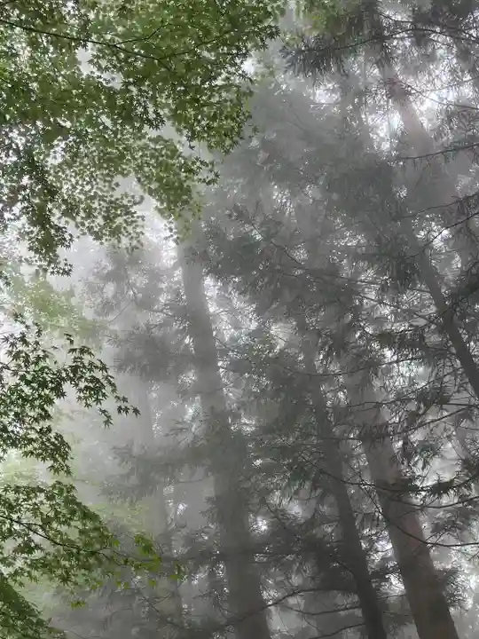三峯神社(埼玉県)