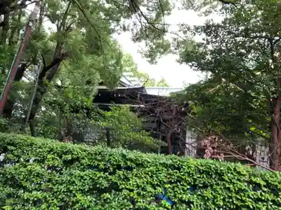 王子神社の本殿・本堂