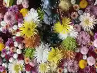 札幌諏訪神社の手水舎