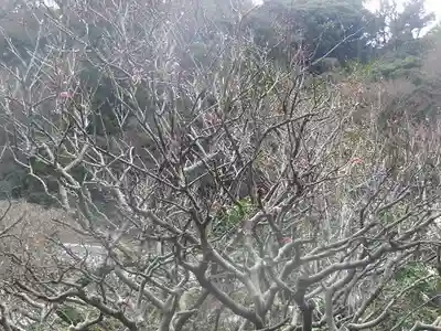 光則寺(神奈川県)