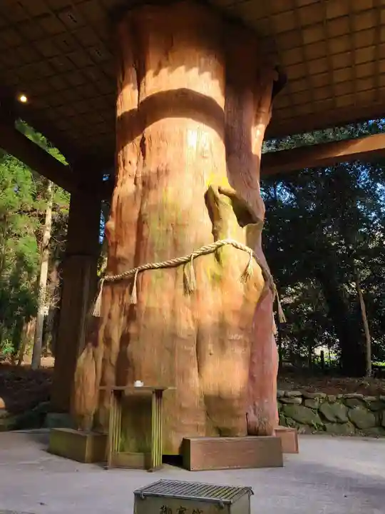 国造神社(熊本県)