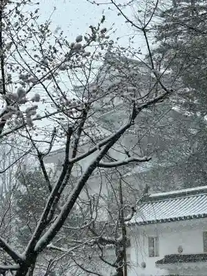 濃飛護國神社の{uncategorized: "未分類", other: "その他", undefined: "問題あり", building: "その他建物", grave: "お墓", sacred_gate: "鳥居", guardian: "狛犬", statue: "像", buddha: "仏像", history: "歴史", nature: "自然", garden: "庭園", animal: "動物", pagoda: "塔", temizu: "手水舎", mountain_gate: "山門・神門", sanctuary: "本殿・本堂", subordinate: "末社・摂社", art: "芸術", scenery: "景色", jizo: "地蔵", ema: "絵馬", goshuin: "御朱印", omikuji: "おみくじ", items: "授与品その他", amulet: "お守り", goshuincho: "御朱印帳", eats: "食事", festival: "お祭り", votive_dance: "神楽", shichigosan: "七五三参", wedding: "結婚式", experience: "体験その他", initially: "初詣", around: "周辺", anti_infection: "感染症対策"}